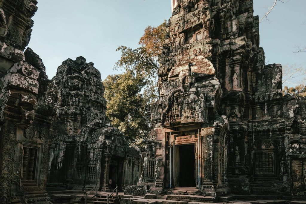 Explore the historic temple ruins of Ta Prohm in Siem Reap, bathed in warm sunlight.