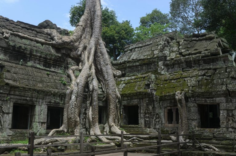 Discover Ta Prohm's iconic temple intertwined with nature at Siem Reap, Cambodia.